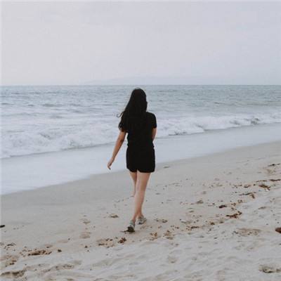 卧龙吟游奇版下载
